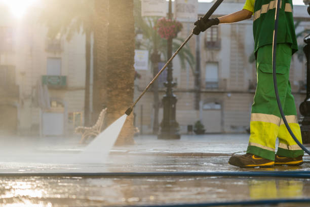 Best Roof Pressure Washing  in Page, AZ